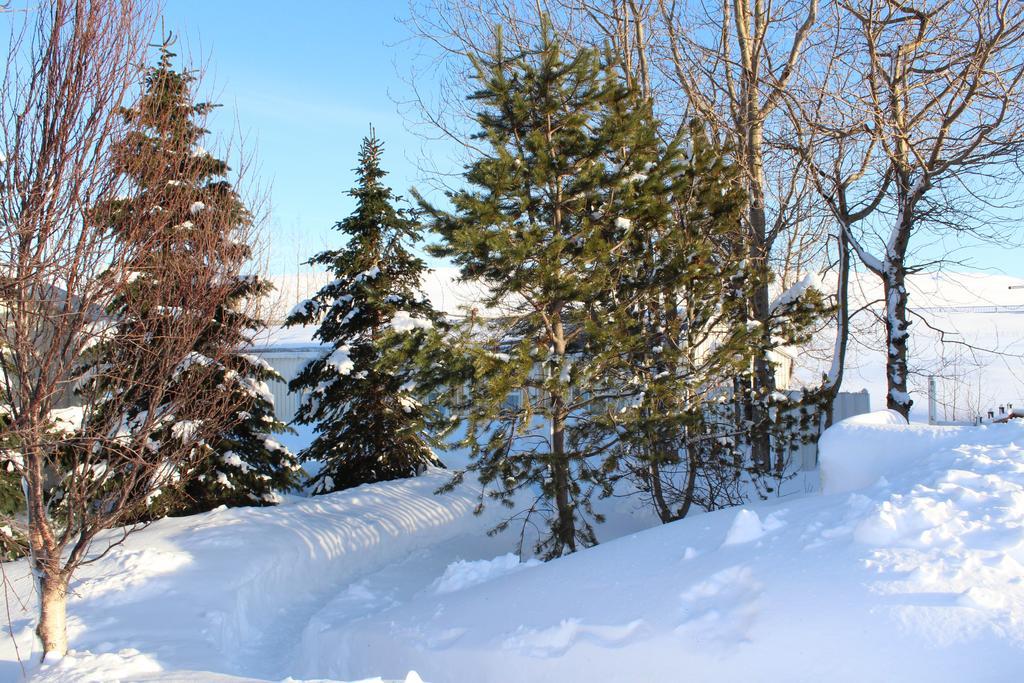Lonsa Guesthouse Akureyri Ngoại thất bức ảnh